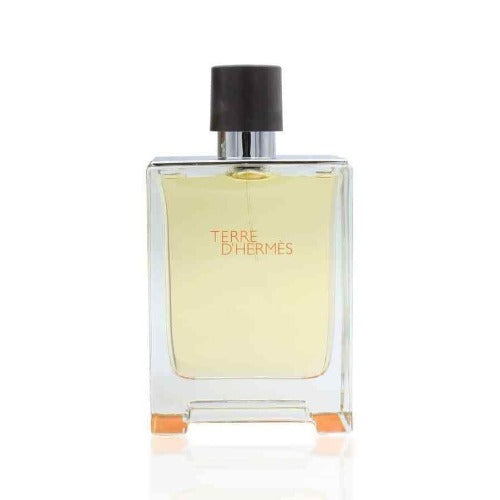 HERMES TERRE DHERMES 100ML EAU DE TOILETTE SPRAY - LuxePerfumes