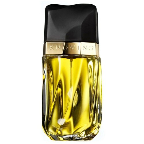 ESTEE LAUDER KNOWING 75ML EAU DE PARFUM SPRAY - LuxePerfumes