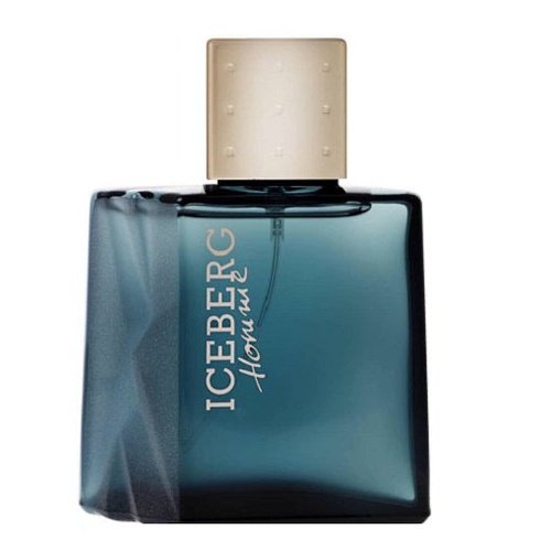 Iceberg Homme 100ml Eau De Toilette Spray